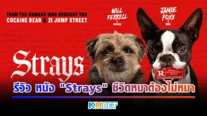 รีวิว หนัง "Strays" ชีวิตหมาต้องไม่หมาเรื่องราวของมะหมาที่โดนเจ้านายของมันทิ้งและพึ่งมารู้ความจริงว่า เจ้านายไม่เคยรักมันเลย ก็แก้แค้นจึงเริ่มขึ้น เรื่องราวจะเป็นยังไงต่อก็ตาม KUBET มาได้เลย