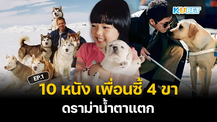 10 หนัง เพื่อนซี้ 4 ขา ดราม่าน้ำตาแตก EP.1 – KUBET