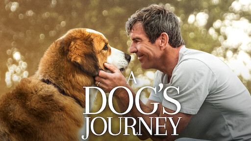 A Dog's Purpose (หมา เป้าหมาย และเด็กชายของผม) KUBET