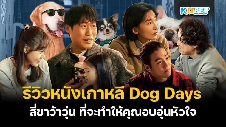 รีวิวหนังเกาหลี Dog Days สี่ขาว้าวุ่น – KUBET 