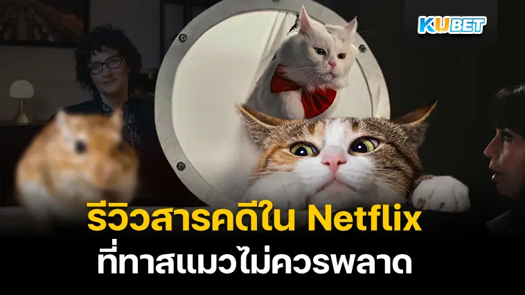 รีวิวสารคดี Netflix เรื่อง Inside the Mind of a Cat คิดแบบแมวๆ- KUBET