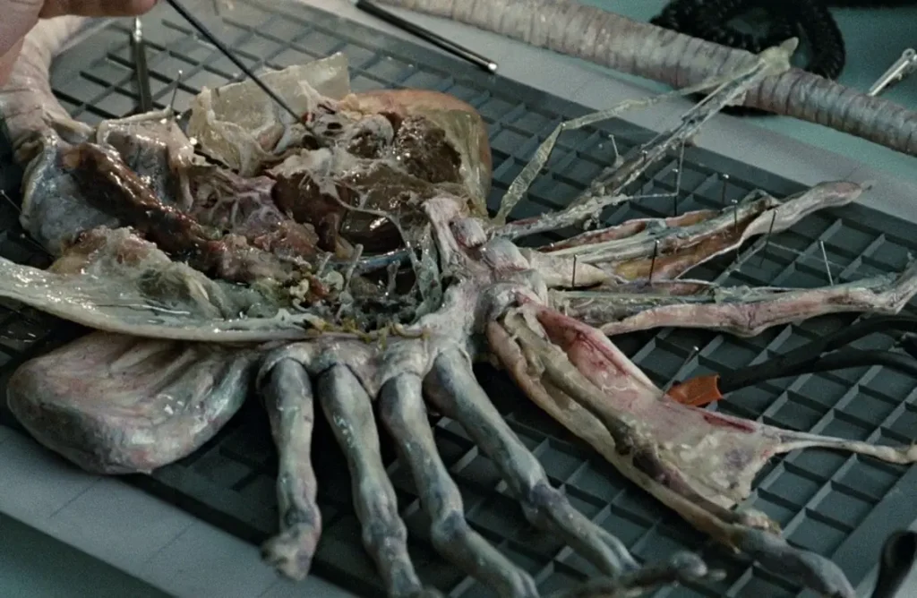 Facehugger เอเลี่ยนในหนัง Alien Xenomorphs By KUBET