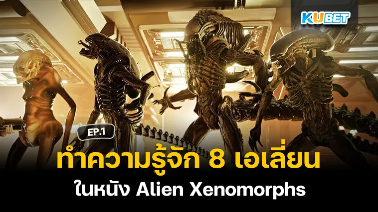 ทำความรู้จักกับ 8 เอเลี่ยนโคตรสยองในหนัง Alien Xenomorphs EP.1- KUBET