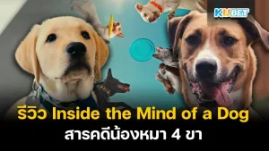 Inside the Mind of a Dog KUBET