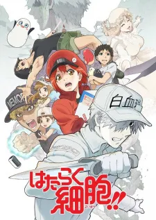 Hataraku Saibou (Cells at Work!) - Anime - KUBET