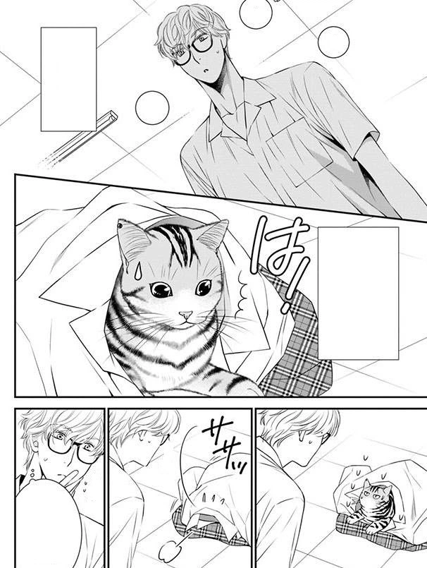 Neko Neko Keiyaku Manga - KUBET