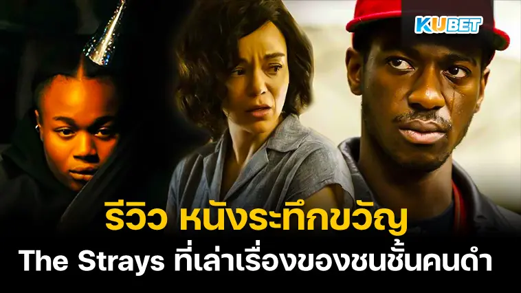 รีวิว หนังระทึกขวัญ The Strays ที่เล่าเรื่องของชนชั้นคนดำ